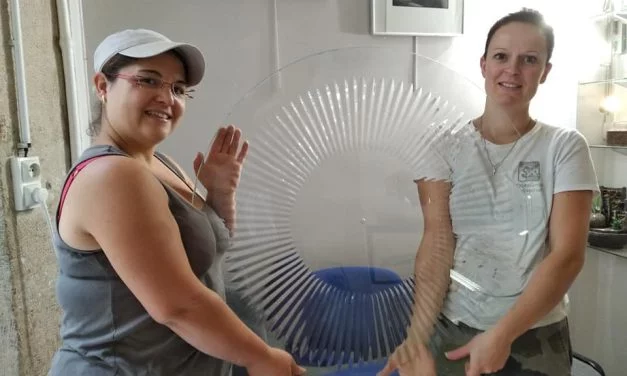 Rejoignez la Lutte pour l&rsquo;Artisanat: Sauvons Ensemble la Cristallerie de Paris!