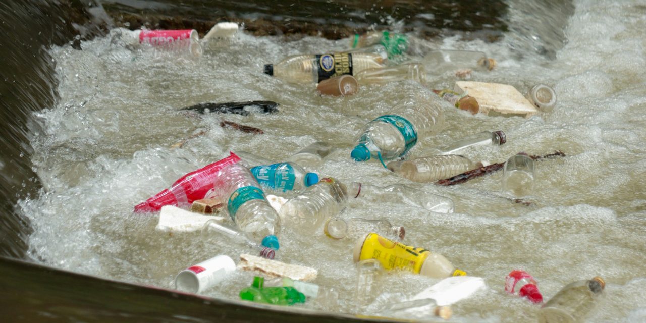 Bataille Contre le Plastique: De la Révolution Domestique aux Ondes Vertes Planétaires
