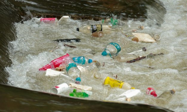 Bataille Contre le Plastique: De la Révolution Domestique aux Ondes Vertes Planétaires