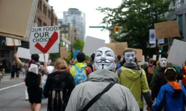 OGM : Naviguer dans le Labyrinthe Génétique avec Astuce et Prudence