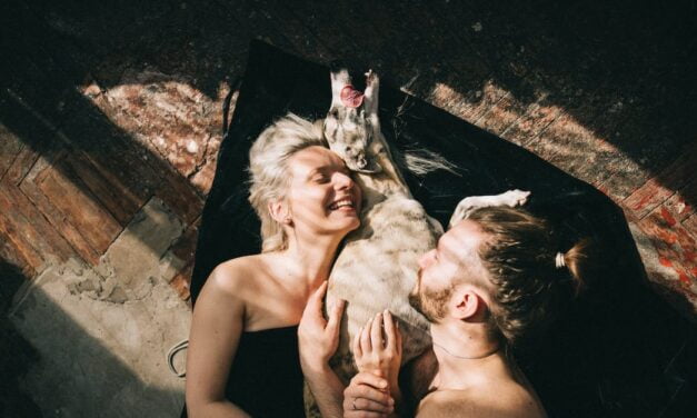 3 Astuces Simples pour Célébrer Mère Nature et Protéger nos Amis à Quatre Pattes