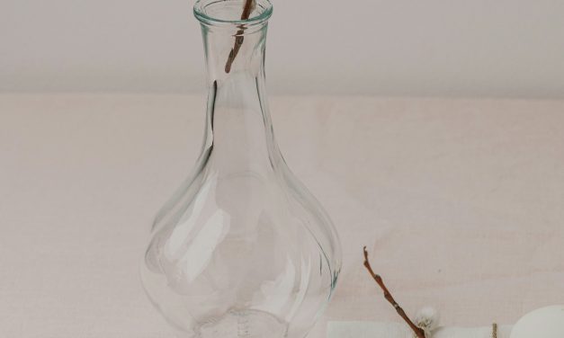 Ovothérapie: Astuces Anciennes, Bienfaits Modernes des Œufs sur la Santé