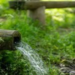Quête de la Source : Guide pour Détecter l&rsquo;Eau Cachée dans Votre Jardin