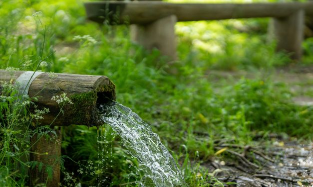 Quête de la Source : Guide pour Détecter l&rsquo;Eau Cachée dans Votre Jardin