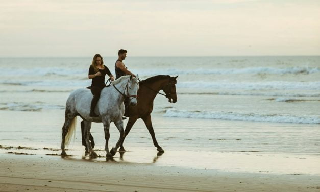 Eau Kangen : L&rsquo;Hydratation Réinventée pour la Performance et la Santé des Chevaux