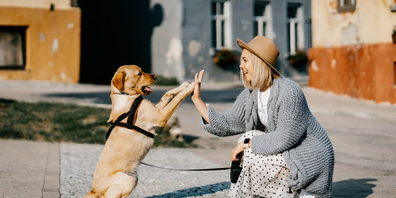 10 astuces intemporelles pour nos amis les animaux
