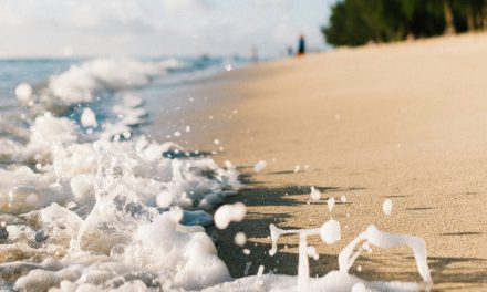 Mystères Abyssaux ou Humour Marin: Qu&rsquo;est-ce qui Cache les Profondeurs?