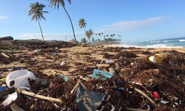 Réduire l&rsquo;Exposition aux Microplastiques : Stratégies pour un Environnement Sain