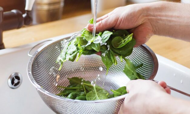Une alimentation plus saine grâce à l’eau ionisée ? C’est possible !