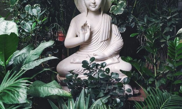 Maîtrise Feng Shui : Plongez dans l&rsquo;Art Complex d&rsquo;Harmoniser Votre Sanctuaire