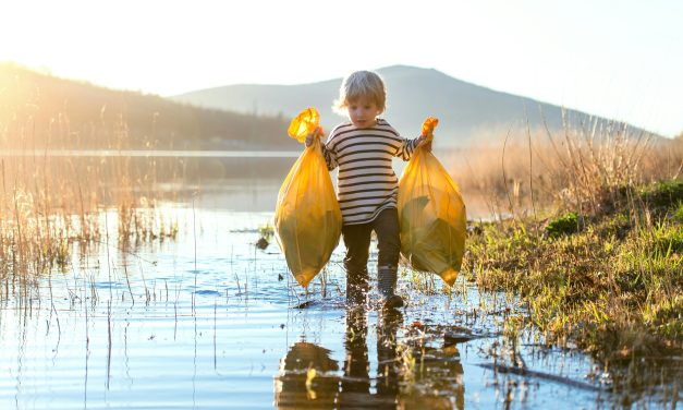 La Fontaine Kangen : Oasis d&rsquo;Économie et de Conscience Écologique chez Vous