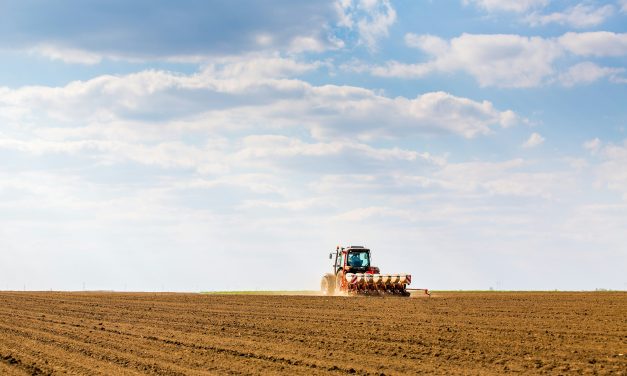 Alerte Jardiniers : Les Dangers Cachés des Graines Hybrides F1