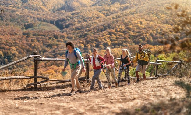 Leadership Transformatif en Marketing de Réseau : Guide pour Inspirer et Diriger avec Authenticité