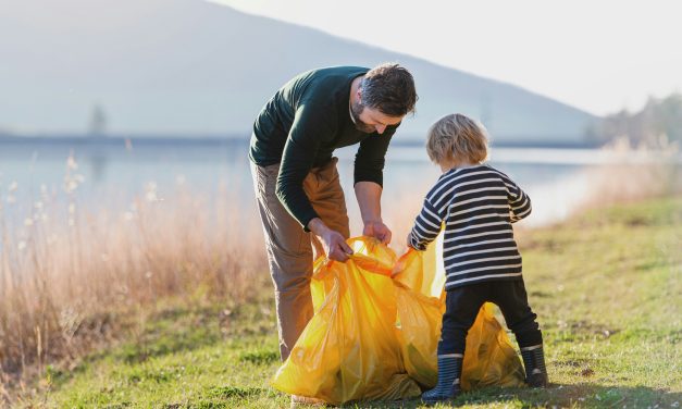 Sondage des Eaux Troubles: 30 Questions Clés sur la Pollution Aquatique