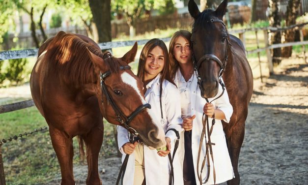 Stratégies Naturelles Contre les Tiques: Protégez Votre Cheval Sans Chimie