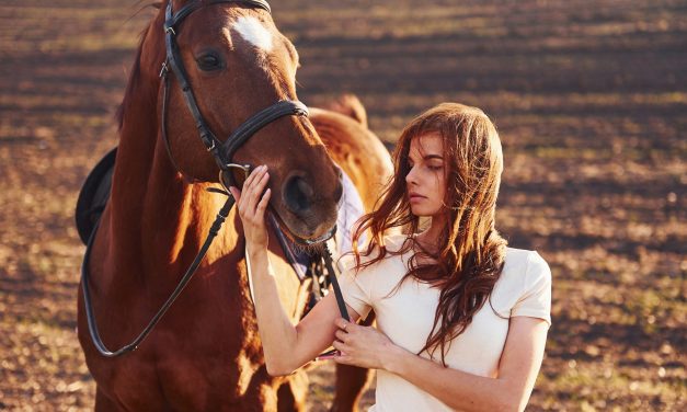 Le Miel : Remède Naturel Miraculeux pour Chevaux