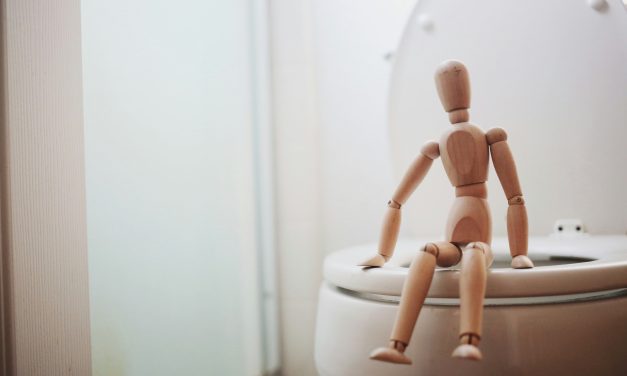 Économie d&rsquo;Eau 101: Transformez Vos Toilettes en Alliés de l&rsquo;Écologie