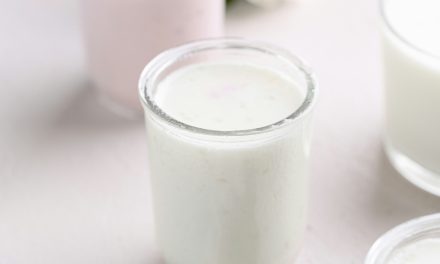 Maîtrisez l&rsquo;Art du Yaourt Végétal Maison : Une Aventure Culinaire Saine