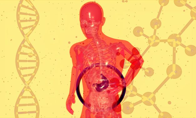 Optimiser votre Microbiote pour une Vitalité Renouvelée: Conseils de la Professeure Salem