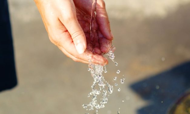 Découvrez le Pouvoir de l’Eau Revitalisée : Transforme Votre Eau et Votre Vie !