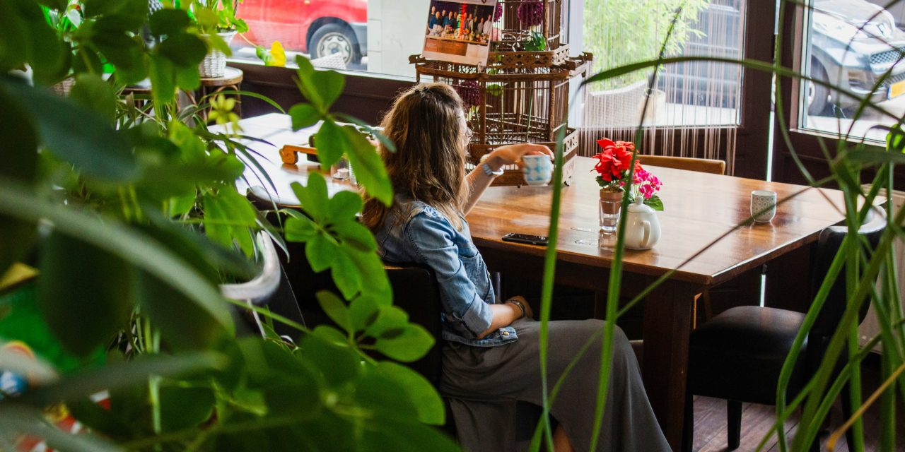 Construisez Votre Réussite : Stratégies Essentielles pour Naturopathes Débutants