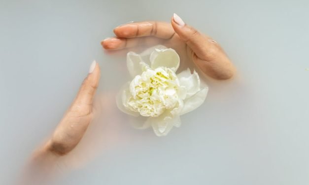 Soleil en Bouteille : Le Secret des Macérations Solaires pour une Santé Florale