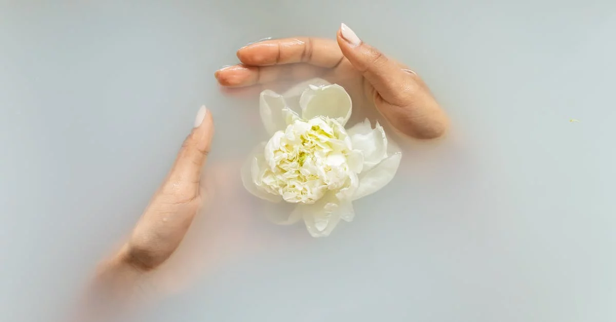 Soleil en Bouteille : Le Secret des Macérations Solaires pour une Santé Florale