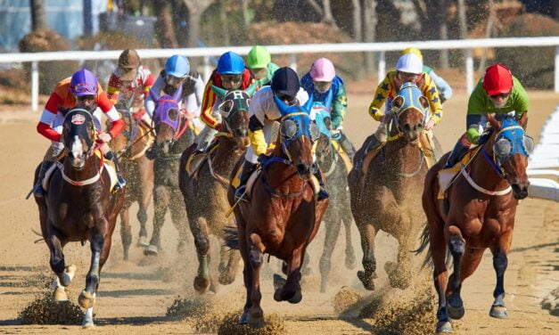 Chevaux : et si l&rsquo;eau pouvait améliorer leurs performances ?