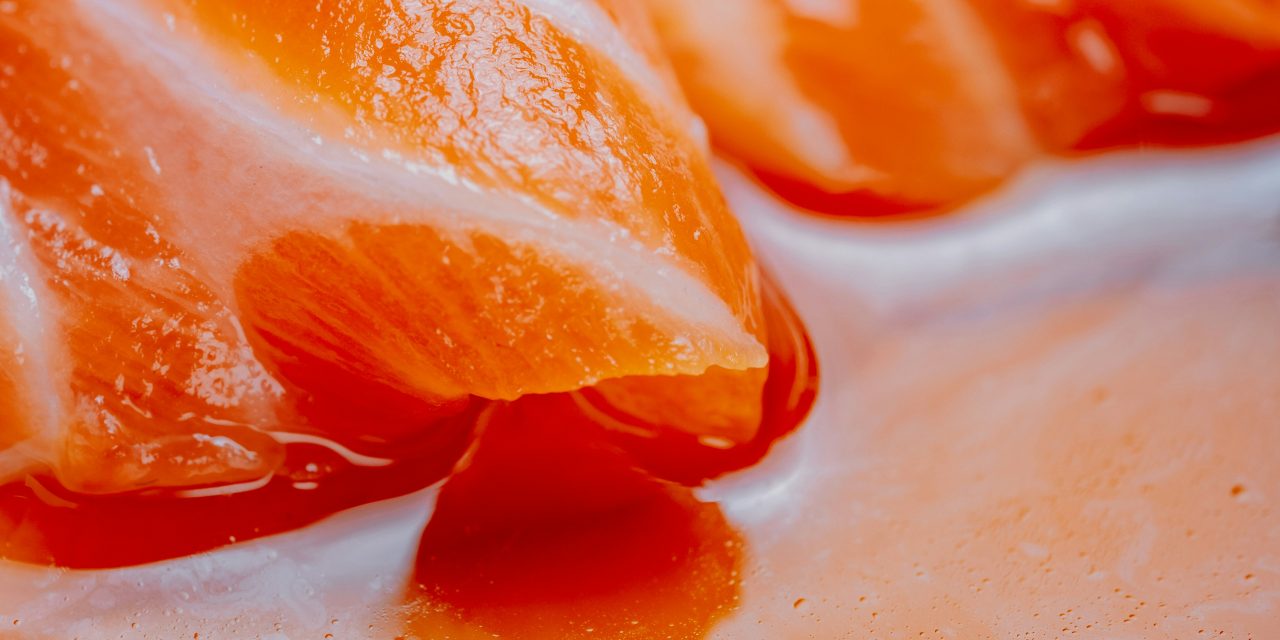 Le Saumon Vapeur aux Herbes Fraîches : Un Voyage au Cœur de la Simplicité avec le Vitaliseur de Marion