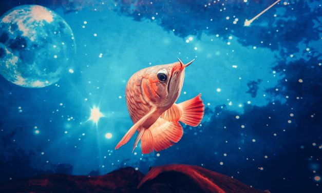 Feng Shui Dossier Complet : Maîtrisez l&rsquo;Histoire, les Astuces et les Erreurs à Éviter pour une Harmonie Parfaite