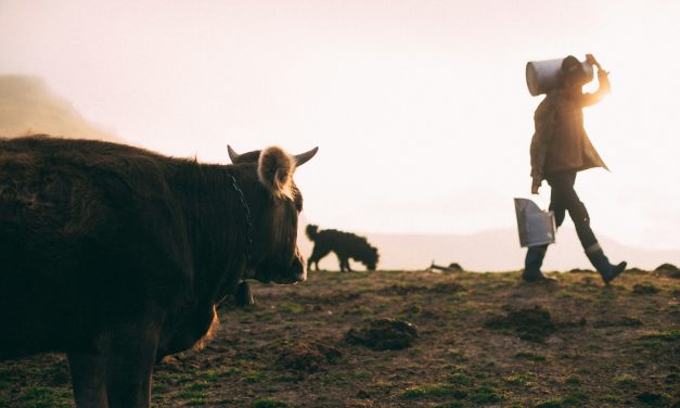 Révolution Alimentaire: Le Lait Végétal, Cri d&rsquo;Alarme pour l&rsquo;Éthique et la Santé Humaine