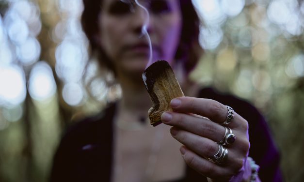 Palo Santo: Bois Sacré, Purification et Sérénité au Quotidien
