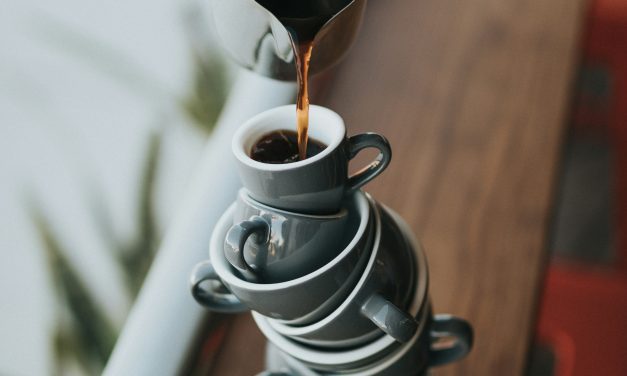 Équilibre Vital : Plongée dans les Mystères de l&rsquo;Acido-Basique pour un Bien-être Révélé