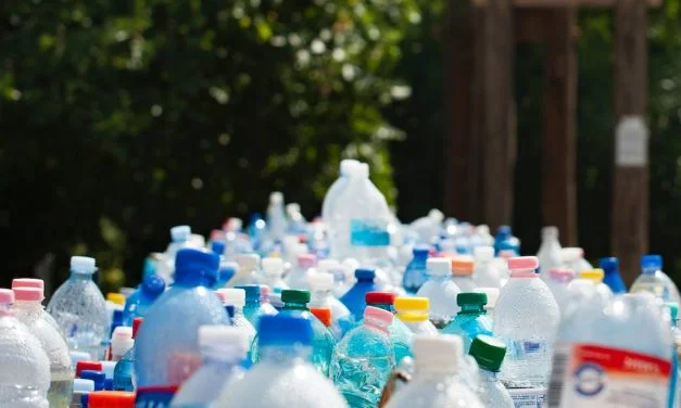 La face cachée de l&rsquo;eau en bouteille : entre nano-plastiques et écologie inondées vous d&rsquo;astuces