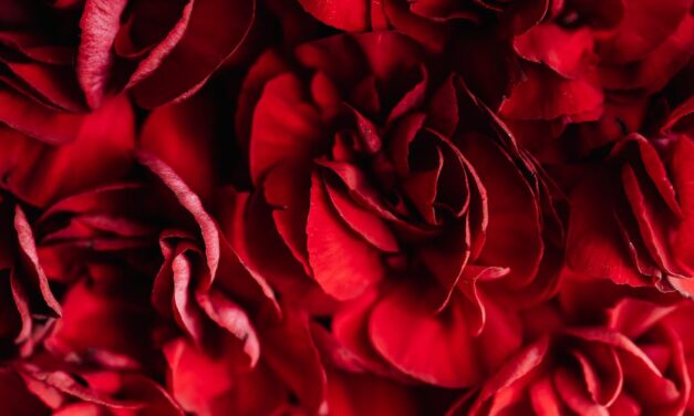 DIY : 4 astuces déco pour la Saint-Valentin