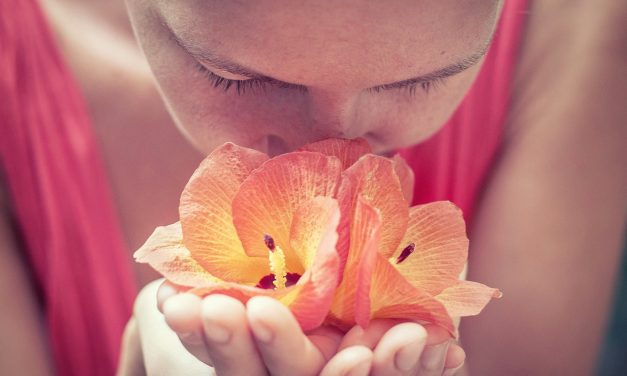 Parfum sur Mesure : Guide pour Composer Votre Essence Naturelle à la Maison