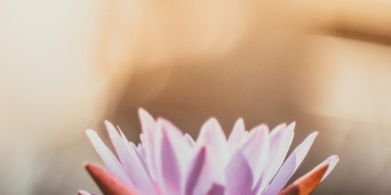 Thérapeute Stratégique et Hypnothérapeute : Au-Delà du Pourquoi, Vers un Mieux-Être Holistique