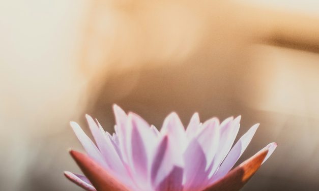 Thérapeute Stratégique et Hypnothérapeute : Au-Delà du Pourquoi, Vers un Mieux-Être Holistique