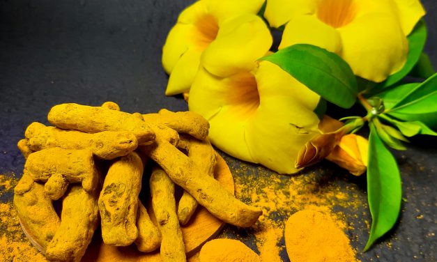 Curcuma au Quotidien: Guide Pratique pour Exploiter ses Bienfaits Magiques