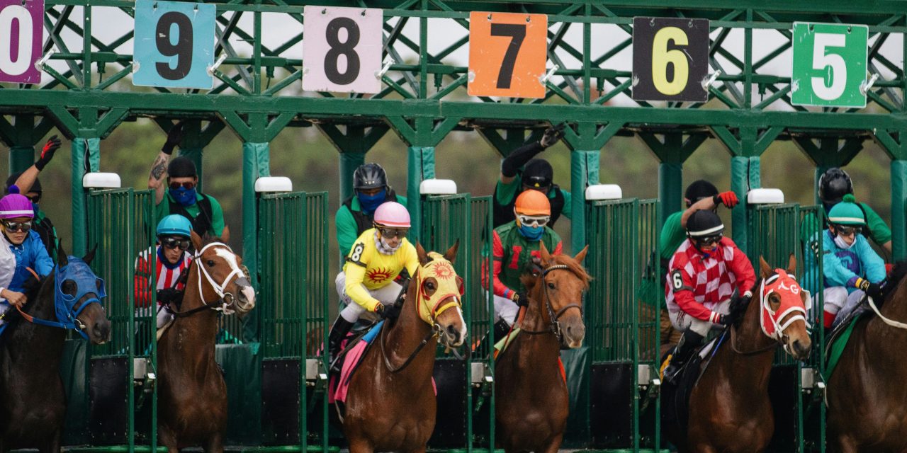 De Novice à Professionnel : Percer dans le Monde des Jockeys