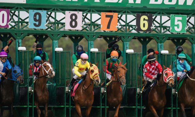 De Novice à Professionnel : Percer dans le Monde des Jockeys