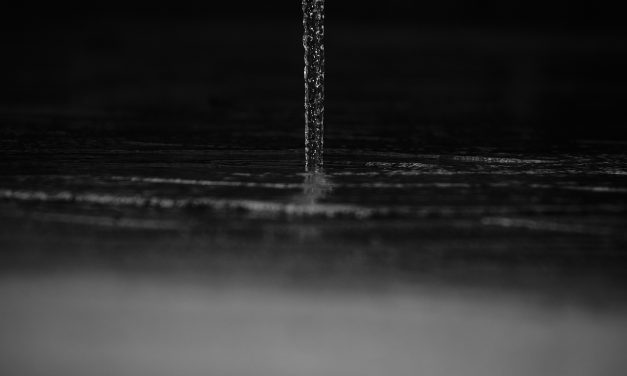 Quand l&rsquo;Eau Kangen Rencontre la Science : Un Voyage à travers le pH, l&rsquo;ORP, et le Bien-Être