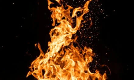 Feu Intérieur : Comprendre l&rsquo;Inflammation pour Préserver votre Santé