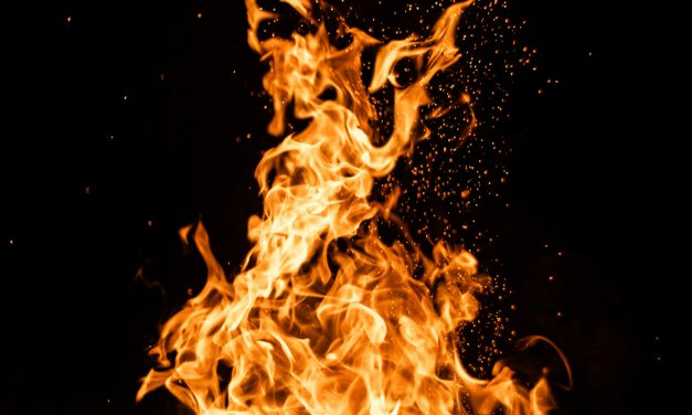 Feu Intérieur : Comprendre l&rsquo;Inflammation pour Préserver votre Santé