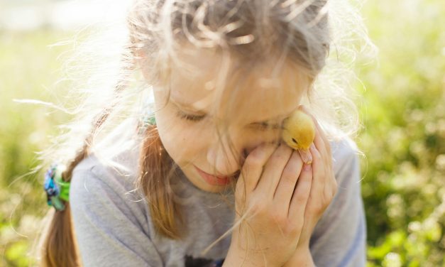 Transmettre les Valeurs à Nos Enfants: Un Guide d&rsquo;Amour et d&rsquo;Exemplarité